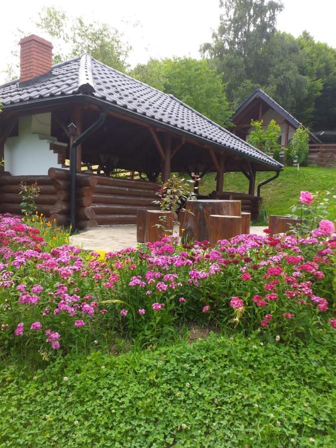 Готель Pensiunea Doina Bucovinei Менестіря-Хуморулуй Екстер'єр фото